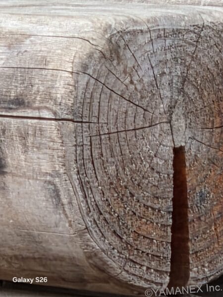 Galaxy S26 カメラ 丸太が積み重なった様子を撮影