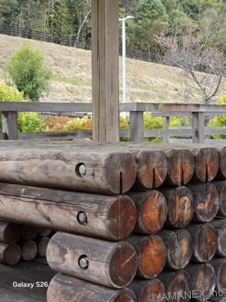 Galaxy S26 カメラ 丸太が積み重なった様子を撮影