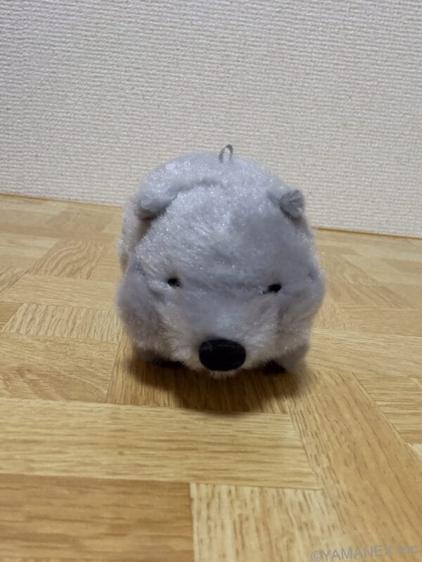 Galaxy S26 カメラ マスコット人形をフロントカメラ撮影