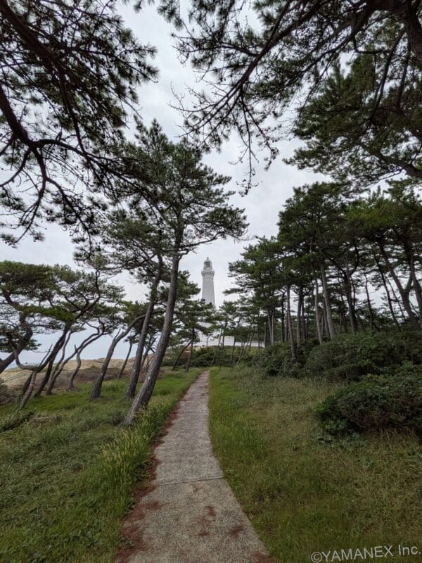 Google Pixel 10 ズーム0.5倍 作例２