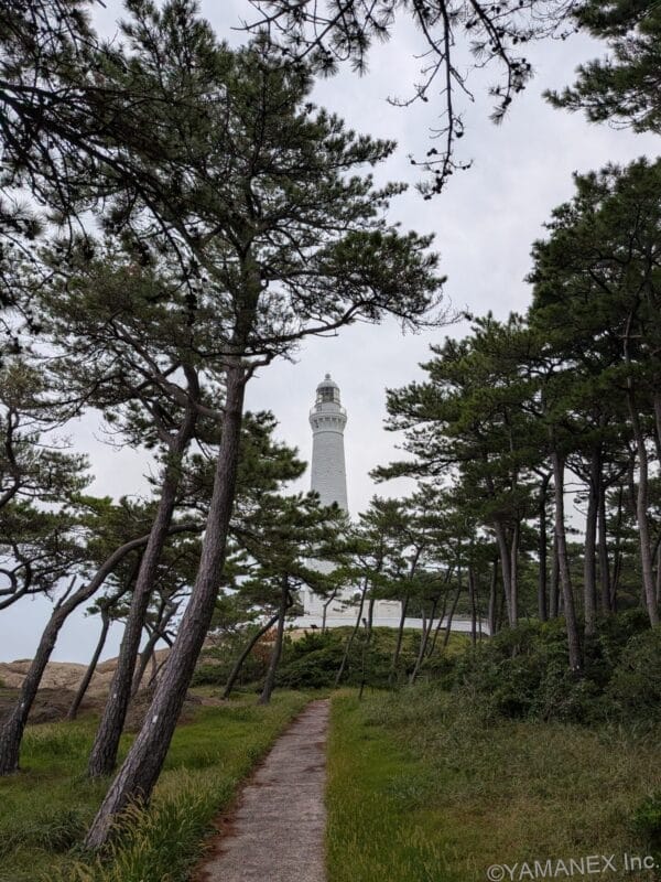 Google Pixel 10 ズーム１倍 作例２