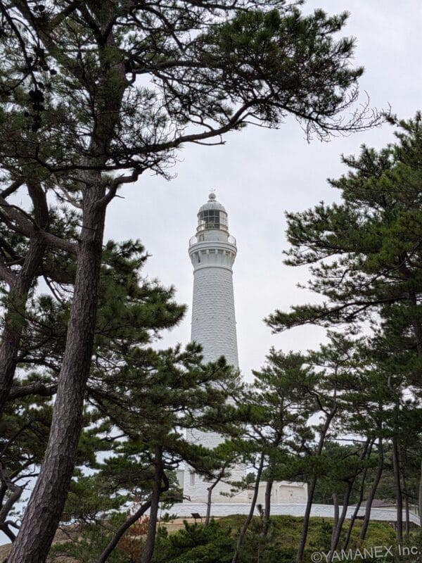 Google Pixel 10 ズーム２倍 作例２