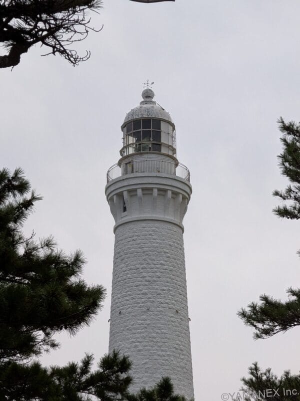 Google Pixel 10 ズーム５倍 作例２