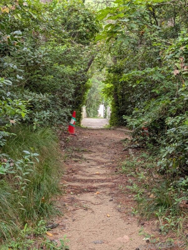 Google Pixel 10 ズーム２倍 作例３