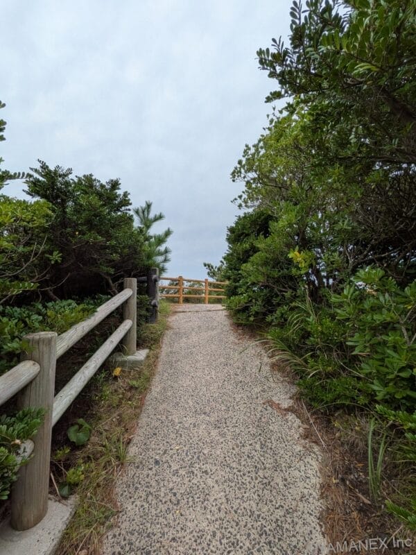 Google Pixel 10 風景撮影