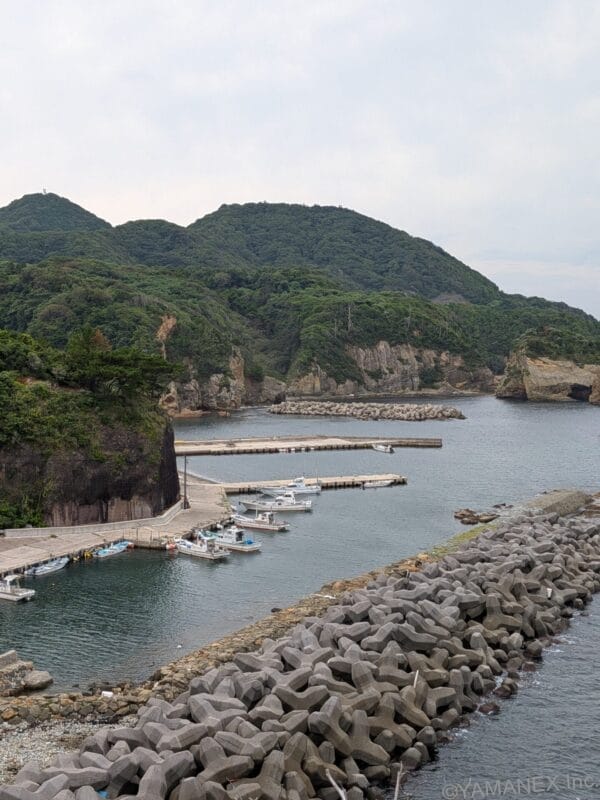 Google Pixel 10 風景撮影