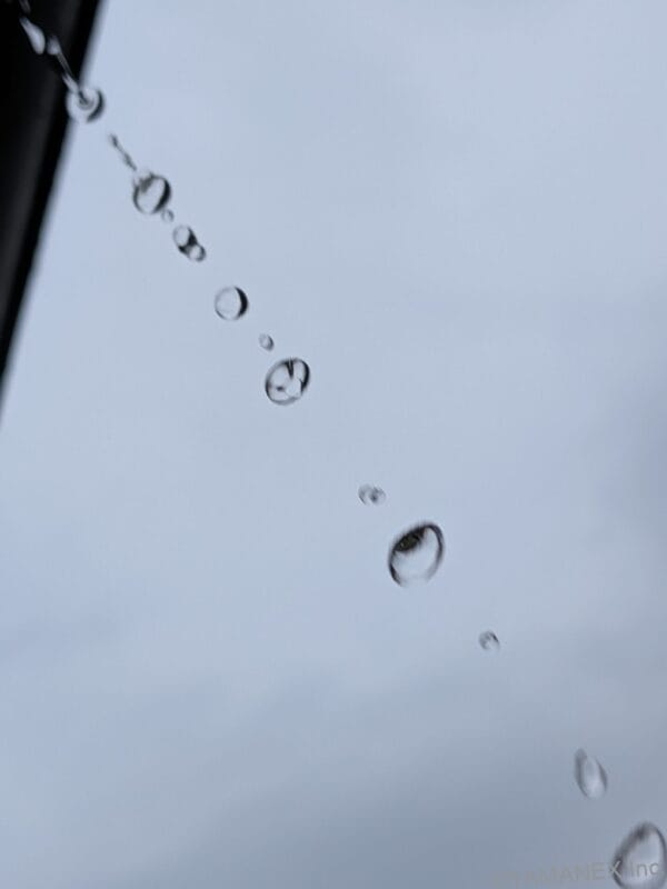 Google Pixel 10 風景撮影