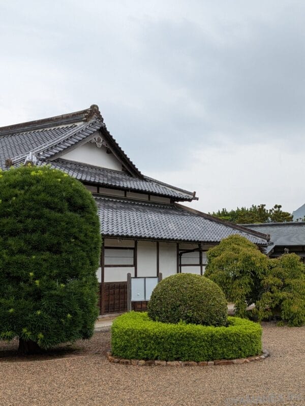 Google Pixel 10 風景撮影