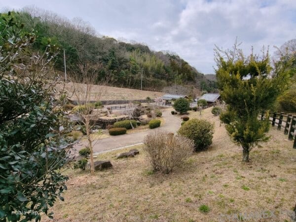 nubia Flip 3 カメラ 庭園を捉えた一枚