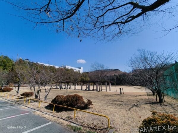 nubia Flip 3 カメラ 晴天下の公園を捉えた一枚
