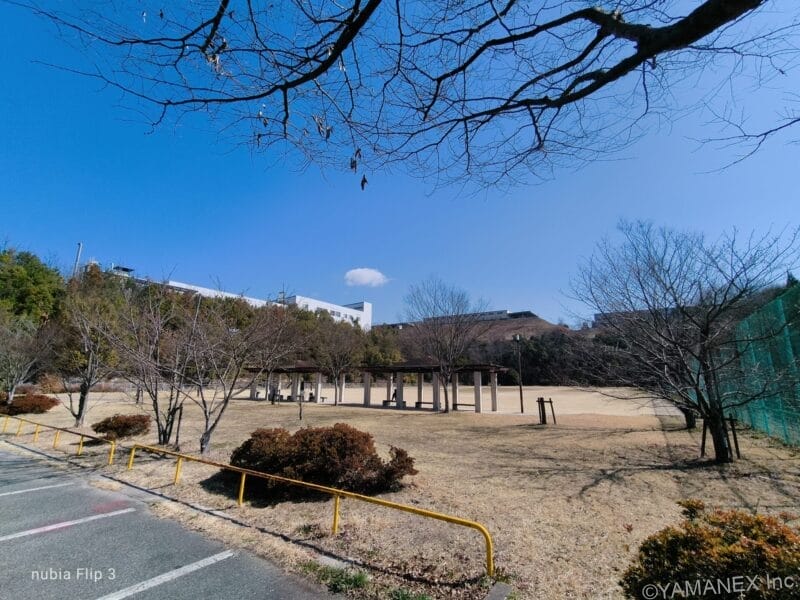 nubia Flip 3 カメラ 晴天下の公園を捉えた一枚