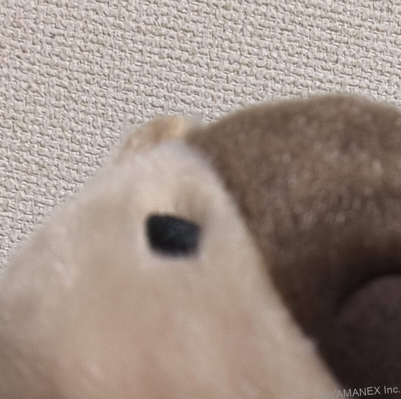 nubia Flip 3 カメラ マスコット人形を自撮りした一枚