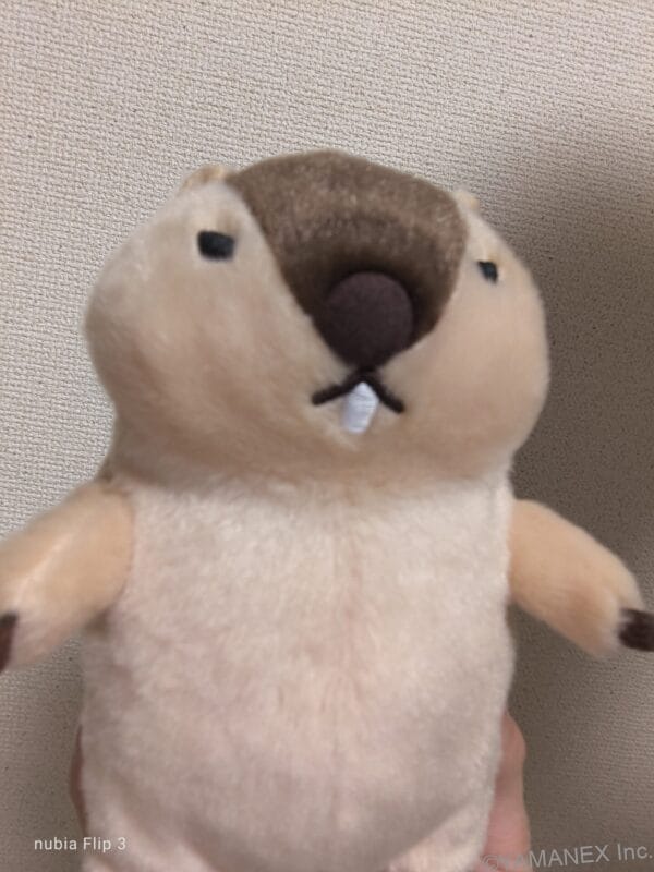 nubia Flip 3 カメラ マスコット人形を自撮りした一枚