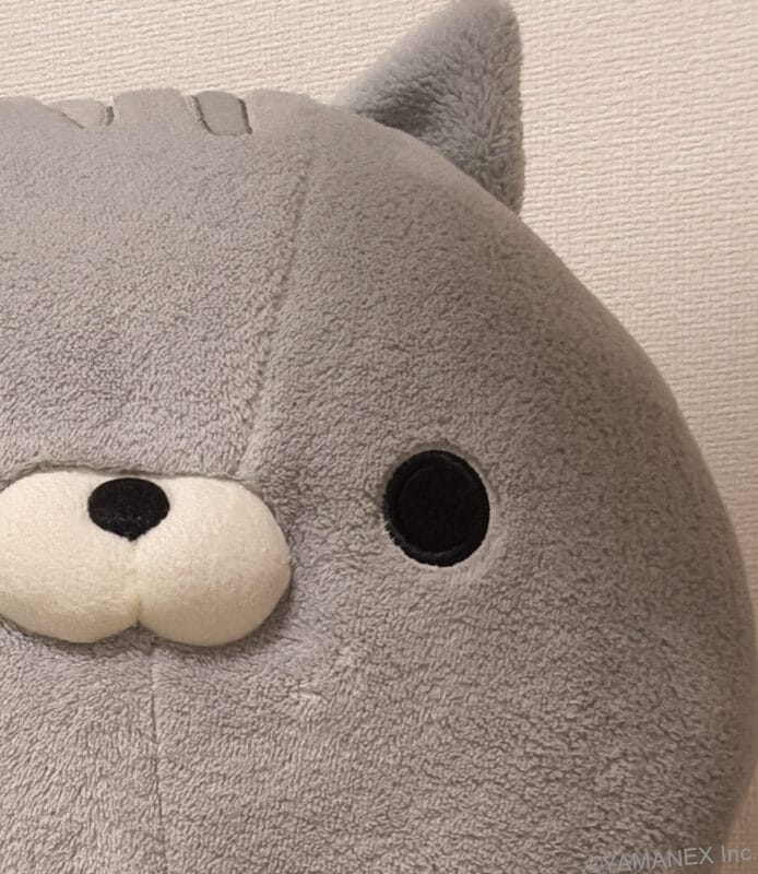 nubia Flip 3 カメラ クマのぬいぐるみを自撮りした一枚