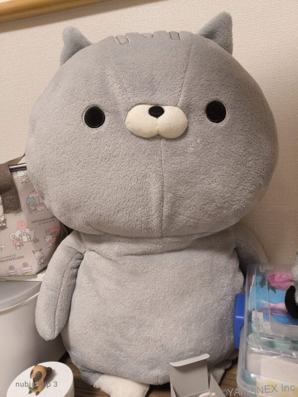 nubia Flip 3 カメラ クマのぬいぐるみを自撮りした一枚