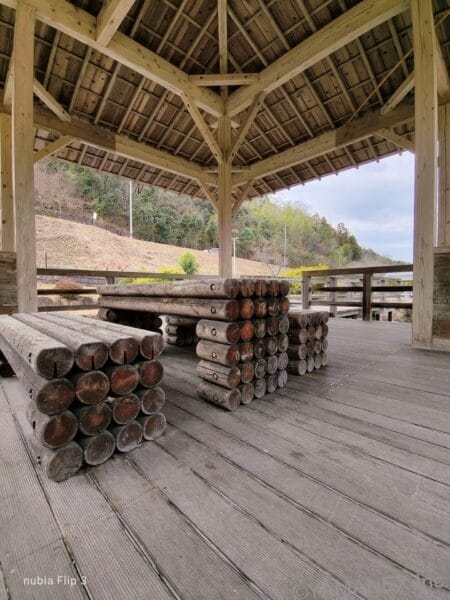 nubia Flip 3 カメラ 丸太をズーム撮影した一枚