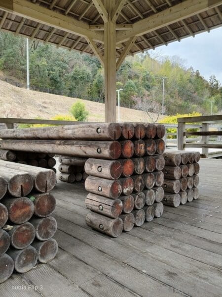 nubia Flip 3 カメラ 丸太をズーム撮影した一枚