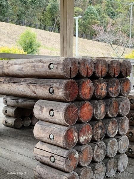 nubia Flip 3 カメラ 丸太をズーム撮影した一枚